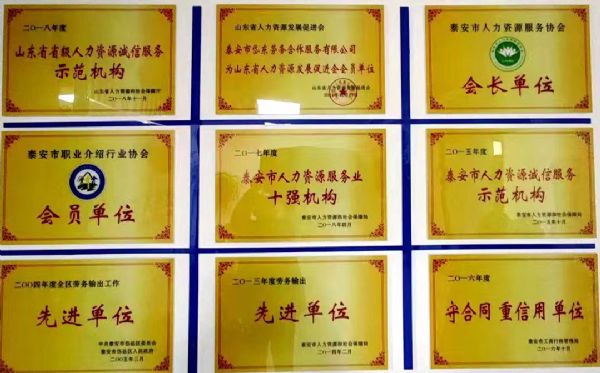 榮譽(yù)資質(zhì)